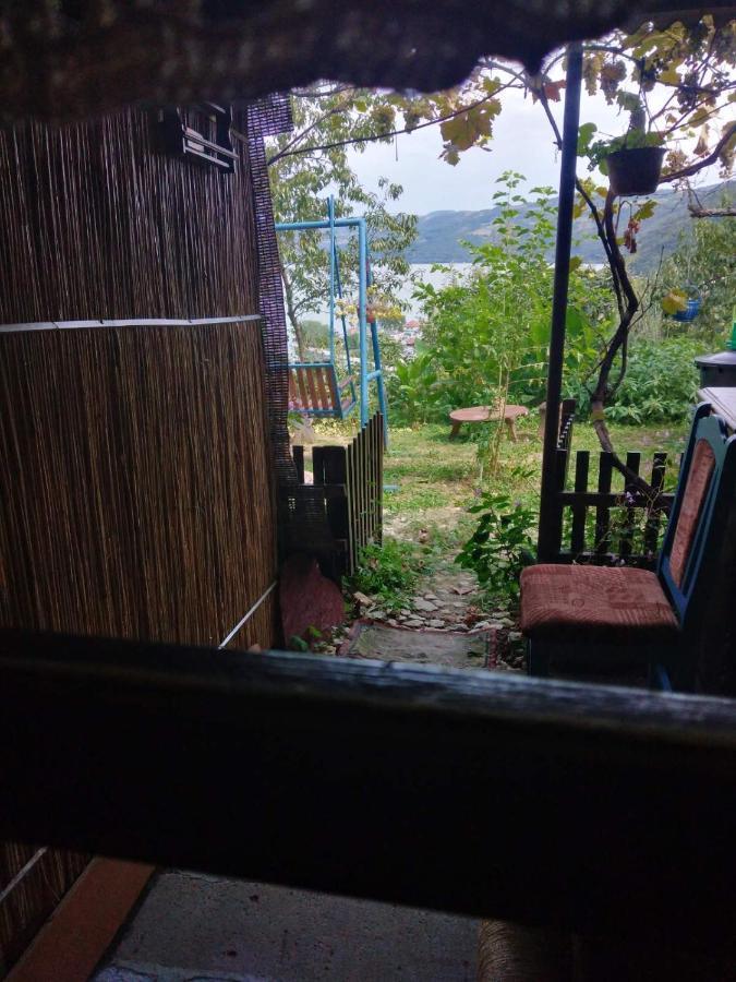B&B Jonovic Donji Milanovac Exterior photo